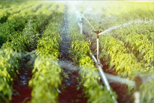 Riego-Automatizado-2