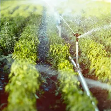 Riego-Automatizado