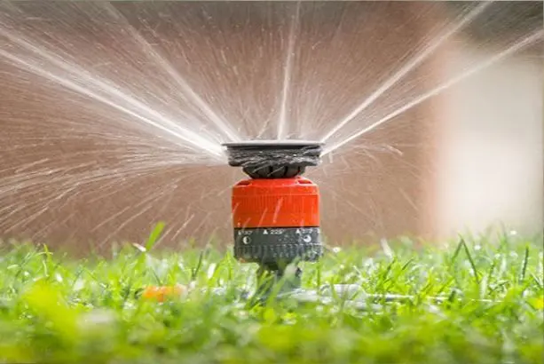 Riego-por-Aspersion-2