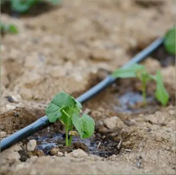 Sistema-de-Riego-por-Goteo